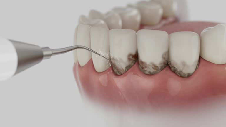 Reliable Dental contractor in Whispering Pines, NC by Dentist Open Now